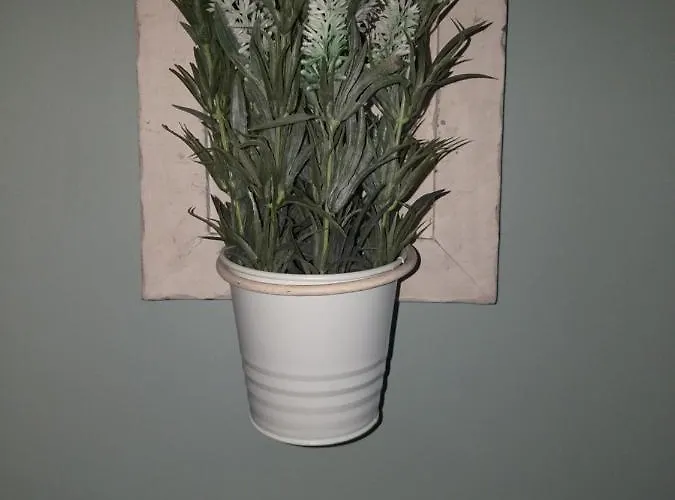 Apartment La Maison De Sidonie